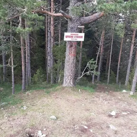 Dobra Voda Sokolac (East Sarajevo)