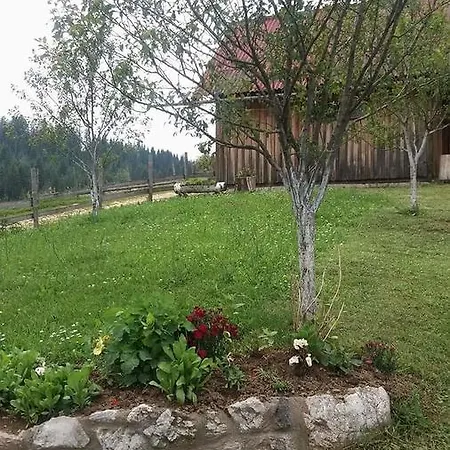 Dobra Voda *