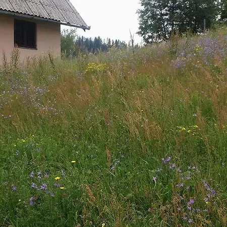 Dobra Voda * Sokolac (East Sarajevo)