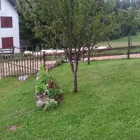 Guest house Dobra Voda *